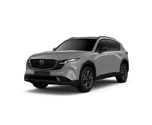 2.5L DYNAMIC