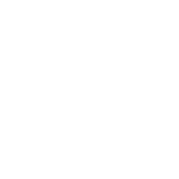 5-YEAR SERVICE PLAN *